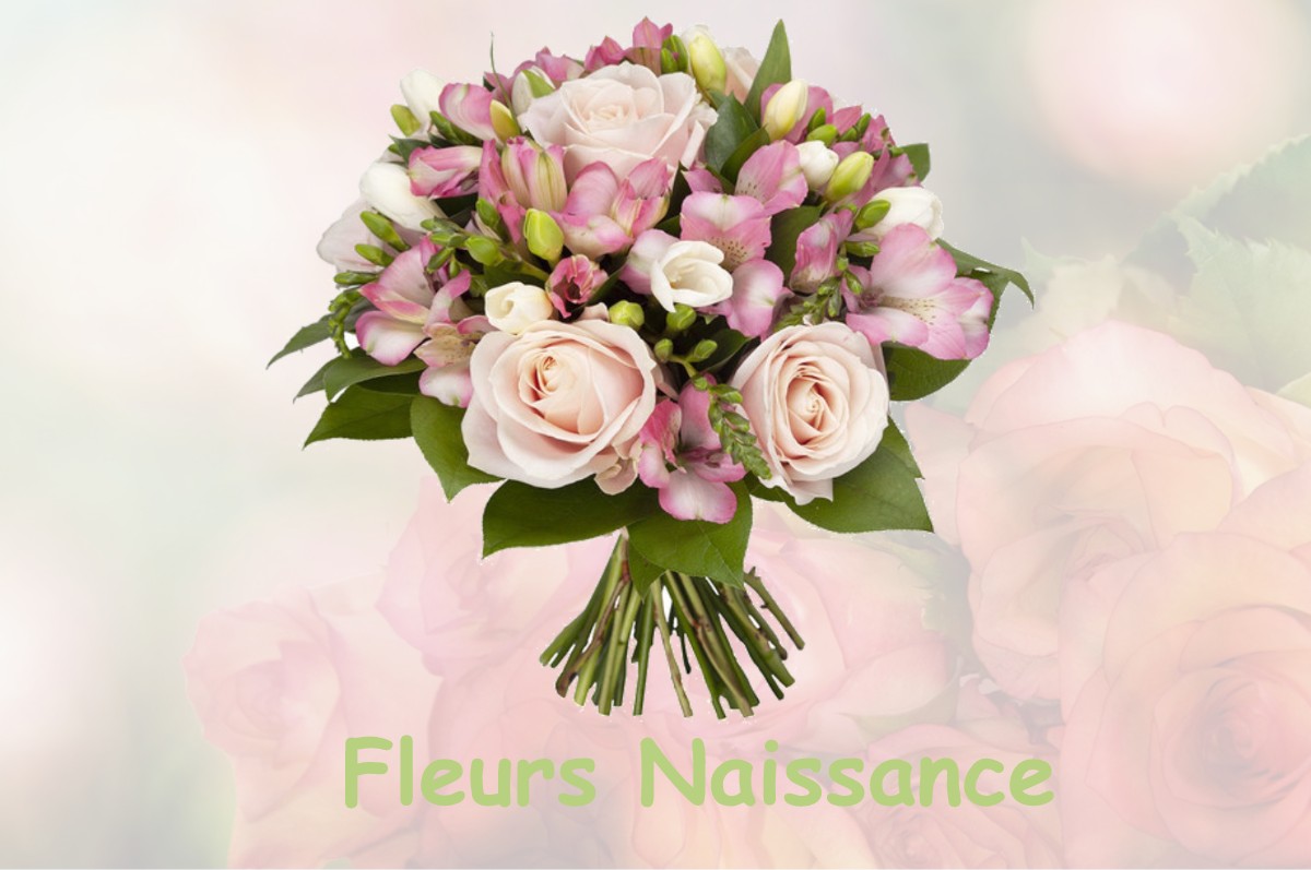 fleurs naissance PAIZAY-NAUDOUIN-EMBOURIE